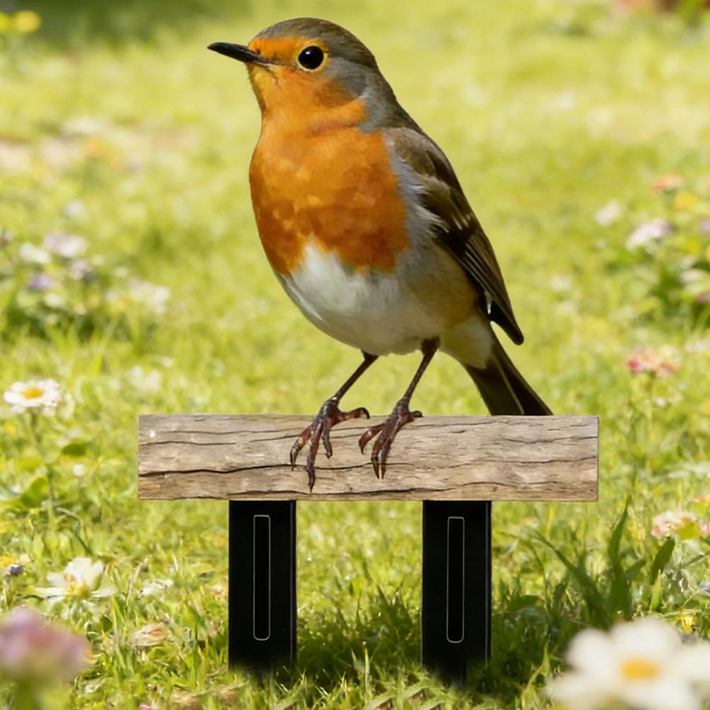2D DUCK Flat Acrylic Garden Pi - Smart Garden Ornaments recension och pris