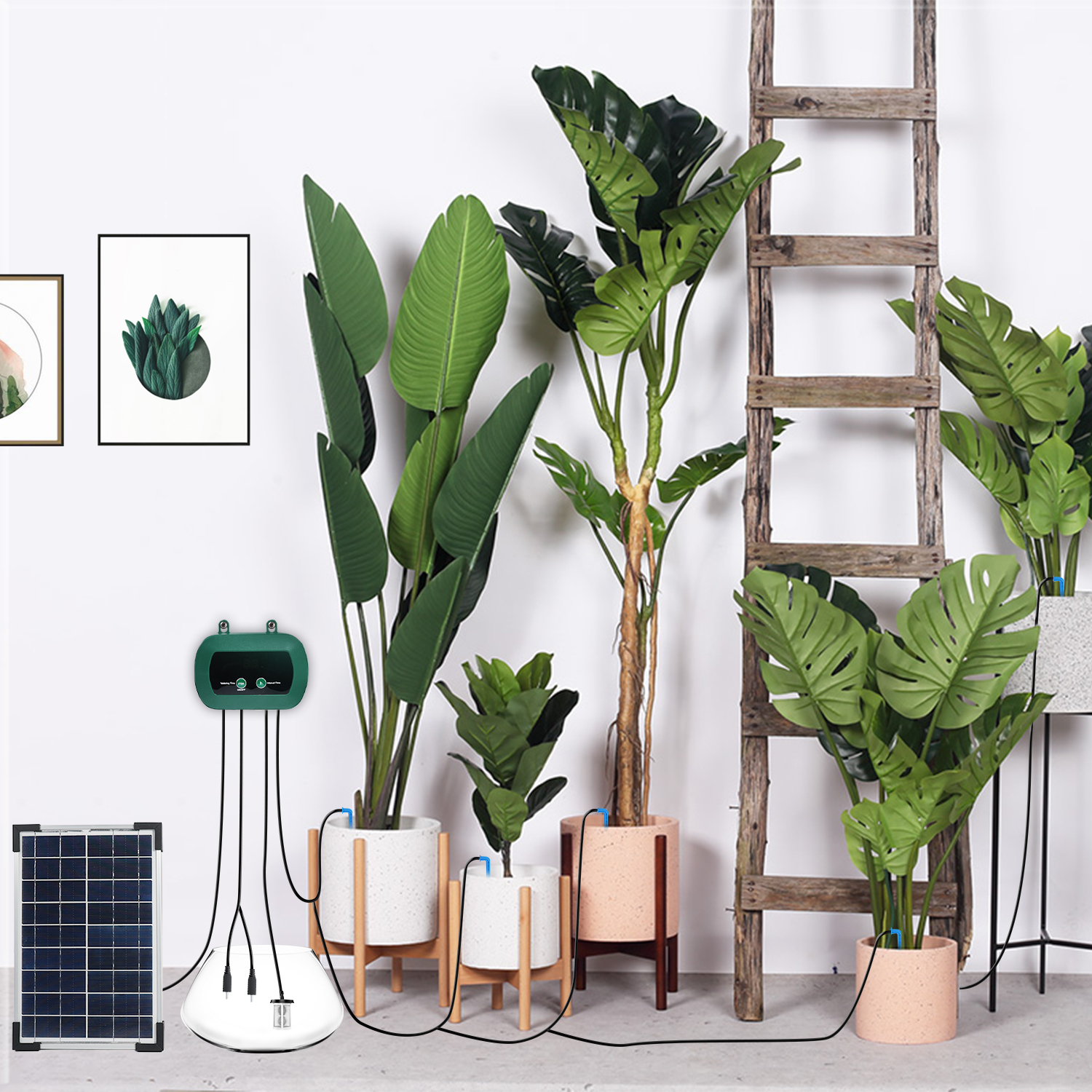 Solar Hydroponics Equipment  M - Smart Garden System recension och pris