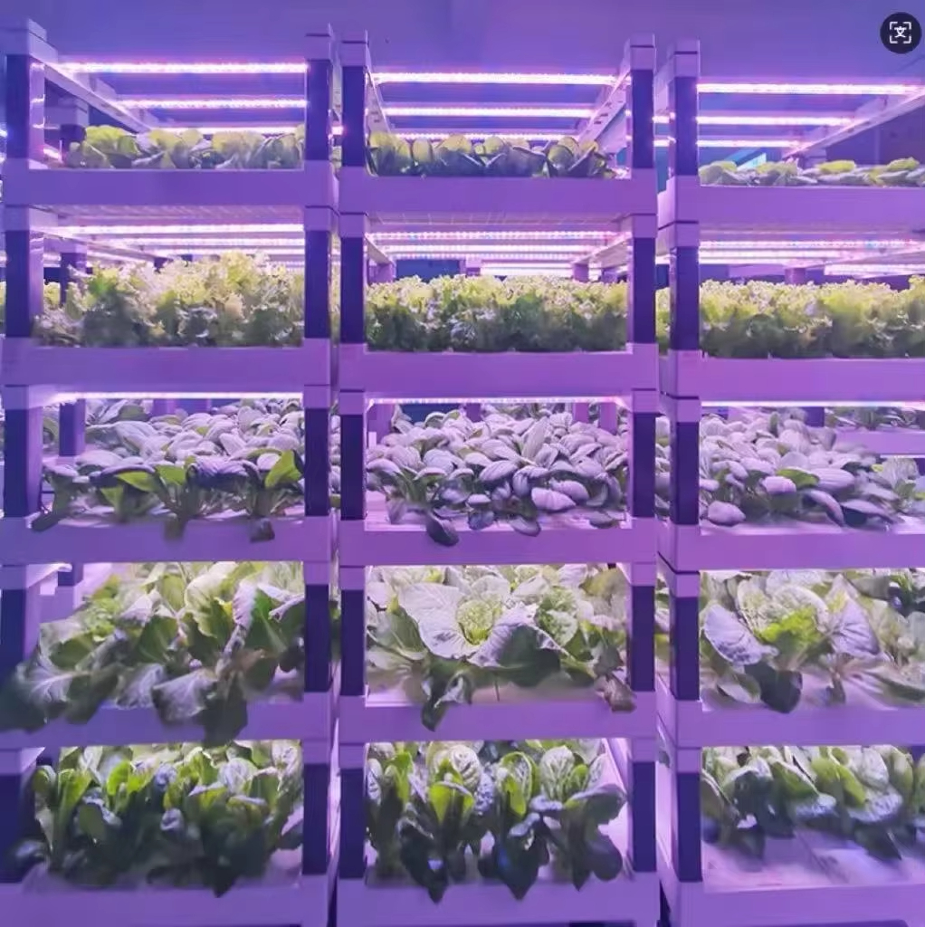Hydroponic Grow System Greenho - Smart Garden System recension och pris